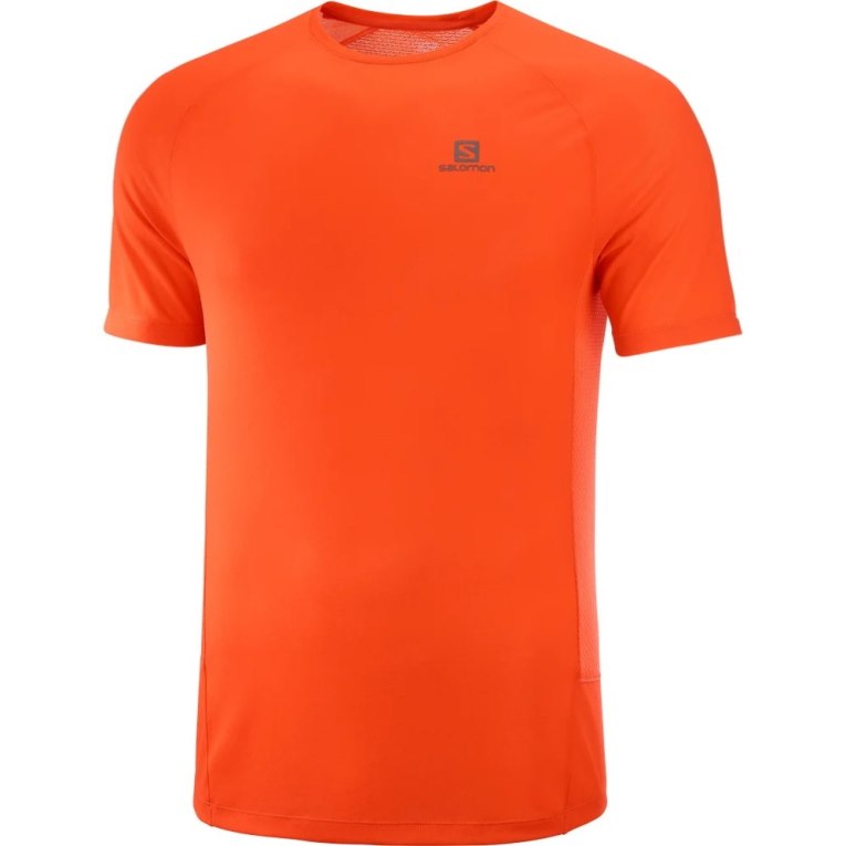 Orange Salomon Cross Rebel Short Sleeve Men's T-Shirts | IE OI2463